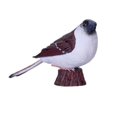 Image of House Sparrow