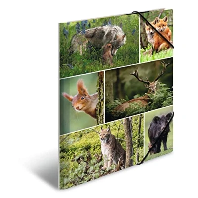 Image of HERMA 19341 Portfolio Folder A4 Animal Worlds Forest Animals, Children&#039;s Corner Made of Cardboard with Inner Print and Elastic Band, Sturdy for Boys Girls