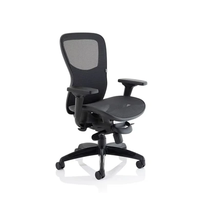 Image of Stealth Shadow Ergo Posture Chair Black Mesh Seat and Back with Arms