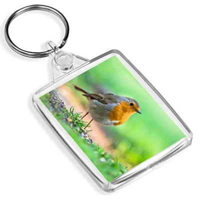 Image of Beautiful Red Robin Keyring IP02 Pretty Bird Christmas Animals #15509