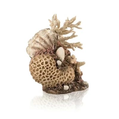 Image of biOrb Coral Shell Ornament natural
