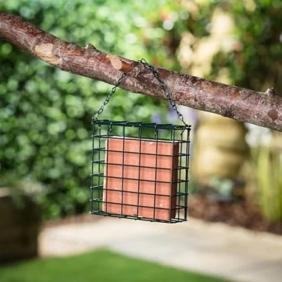 Image of Premium High Energy Suet Blocks Berry Flavour Garden Bird Feed Treat Happy Beaks (9 Pack)