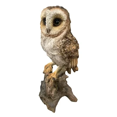Image of G&amp;H Statue Decor 24cm Barn Hoot owl British Birds Resin Figure Hand Painted Ornament Intricate Detail Suitable for Indoor or Outdoor Use Weather Resistant Garden Bird Gifts
