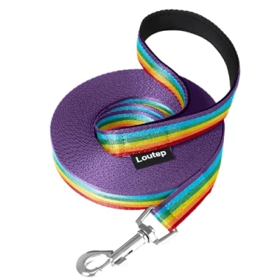 Image of Loutep Rainbow Training Lead for Dogs 3m 5m 10m 15m 20m 25m 30m Strong Nylon Rope Extra Long Line Dog Leash with Padded Handle Large Medium Small Puppy Recall Pet Walking Obedience