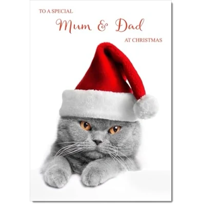 Image of doodlecards Mum &amp; Dad Christmas Card Cat with Santa Hat Medium Size Plain Envelope