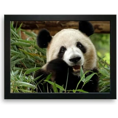 Image of PANDA Cushioned Bean Bag Laptray Home Lap Tray Drinks Food