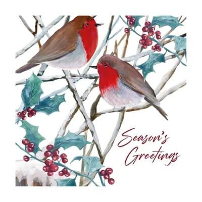Image of Eurowrap Pack of 12 Assorted Christmas Cards Xmas Robins 2 Designs Seasons Greetings and Merry Eco Friendly Packaging 100% Recyclable