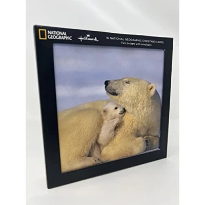 Image of Hallmark Charity Christmas Cards from Pack of 16 in 2 National Geographic Polar Bear &amp; Penguin Photographic Designs
