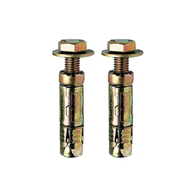 Image of M10 x75mm Loose Bolt Shield Anchor Heavy Duty Wall Plug Pack 2