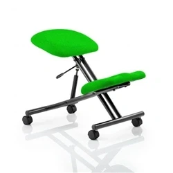 Image of Kneeling Stool Black Frame Bespoke Colour Myrrh Green