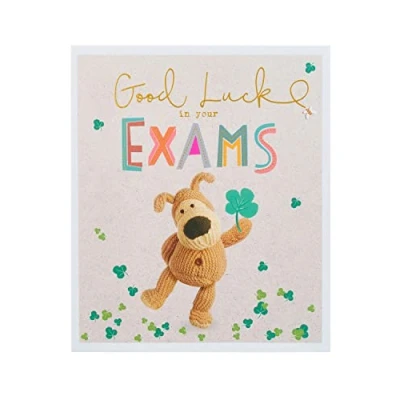 Image of Boofle Good Luck Exams Card For Her/Female/Friend With Envelope Cute Design