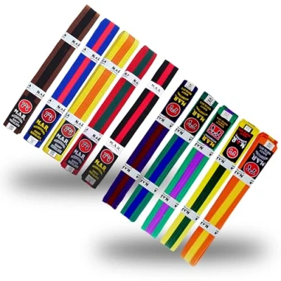 Image of MAR Red/White Martial Arts Colour Stripe Belt for Karate, Judo, Taekwondo, Jiu Jitsu One Ranking Poly Cotton with 9 Rows of Stitching Coloured Grading Belts (320cm)