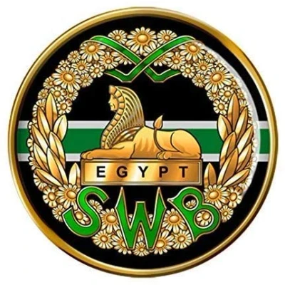 Image of South Wales Borderers, British Army Pin Badge