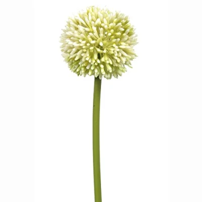 Image of FloristryWarehouse Allium Artificial Single Flower Stem Cream 55cm/21.5 Inches