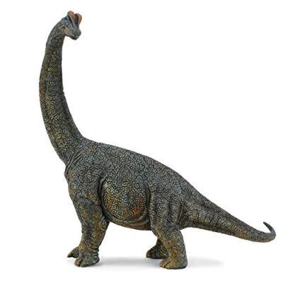 Image of CollectA Brachiosaurus Deluxe 1:40 Scale