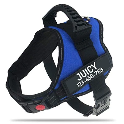 Image of PawPawify Personalised No Pull Dog Harness with Custom Name and Phone Number, Heavy Duty Pet Vest to Prevent Tugging, Pulling, or Choking, Training Walking (Green, L Chest 28 38in)