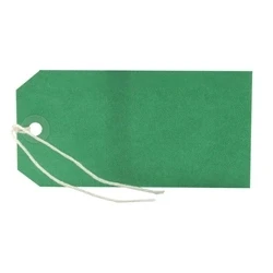 Image of Strung Tag 120x60mm Green (1000 Pack) KF01624
