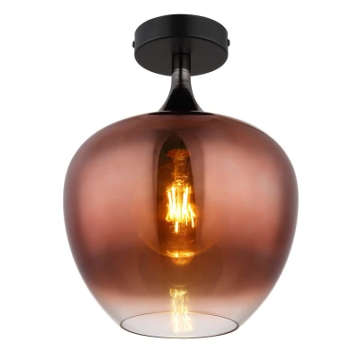 Image of Maxy Globe Ceiling Light Matt Black Copper Glass Shade 1x E27