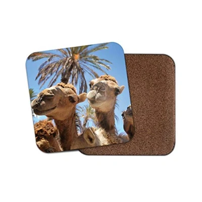 Image of 1 x Funny Camels Drinks Coaster Camel Egypt Holiday Animal Cute #8543