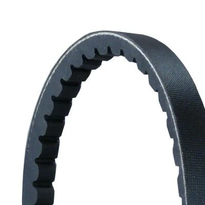 Image of 0039977892, 0059972592, 0059972595, A0039977892, A0059972592 V Belt CONTITECH AVX13X1535 1535mm ISUZU: Trooper II Off Road, D Max 1 Pickup