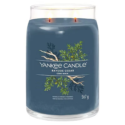Image of Yankee Candle Signature Scented Bayside Cedar Large Jar with Double Wicks Soy Wax Blend Long Burning Perfect Gifts for Women
