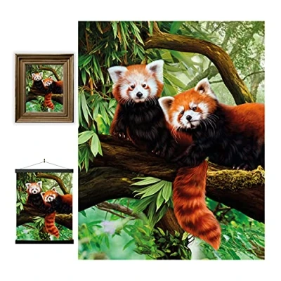 Image of 3D LiveLife Lenticular wall Art Prints Red Pandas from Deluxebase. Unframed Wild Animal Poster. A perfect filler. Original artwork licensed renowned artist, Katrina Sokolo