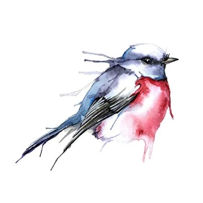 Image of Wee Blue Coo Bird Robin Watercolour Art Print Poster Wall Decor 12X16 Inch