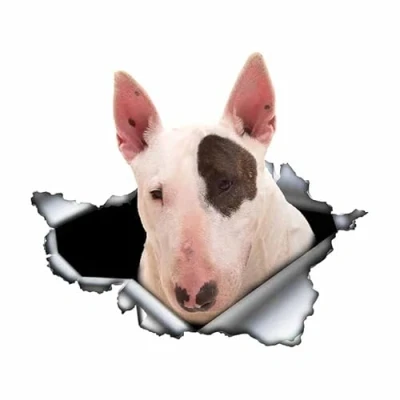 Image of ROPEME Bull Terrier Car Sticker 3d Torn Metal Decal Waterproof Reflective Stickers Animal Dog Vinyl,13cm*4cm