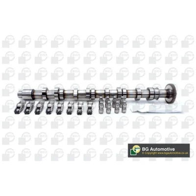 Image of 03L109022, 03L109022D Camshaft Kit BGA CS9612FK Exhaust Side VOLKSWAGEN: Multivan 5 (7HM, Transporter Bus