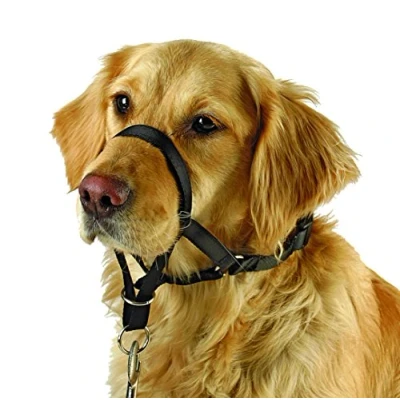 Image of Kerbl Maxi Coach Harness, Size 5, Black