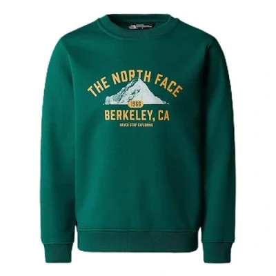 Image of The North Face Varsity Graphic Relaxed CREW Unisex Sweatshirt for kids, Size: 7/8y, Evergreen