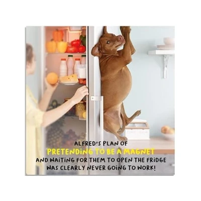 Image of Emotional Rescue Photographic Open Funny Blank Greeting Card &#039;Magnet&#039; Greedy Dog From The Virtual Safari Range Suitable For Birthdays Him/Her