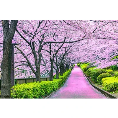 Image of Cherry Blossom Bliss Tokyo Japan Puzzle 1000 Piece Jigsaw