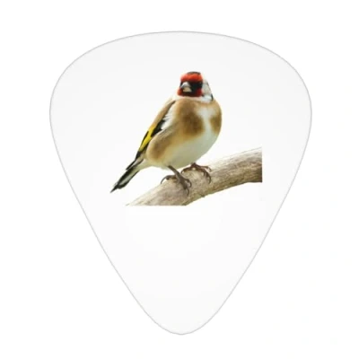 Image of Yifhdes Goldfinch Guitar Picks 12 Pcs For Family Stylish Accessories 3 Thickness Plectrums Thin/Medium/Heavy Players