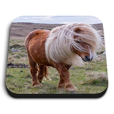 Image of 1 x Square MDF Fridge Magnet Windswept Shetland Pony Horse 15993