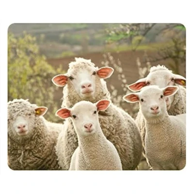 Image of Funny Sheeps Animal Mousepad/Mouse mat Made of Extremely Tear Resistant Special Rubber with a Strongly Adhesive Underside for an Optimal Hold (No. 90)