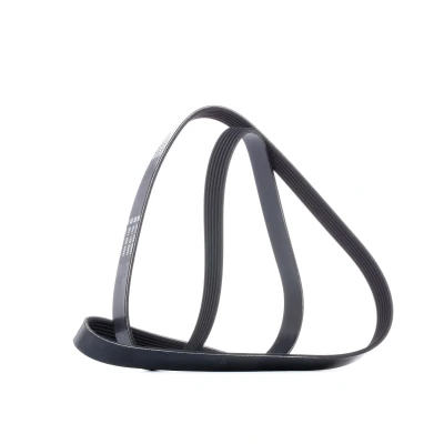 Image of Dayco 6PK1613 Poly Rib Belt