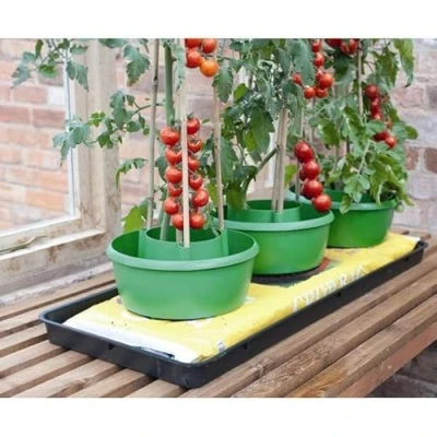 Image of Garland Plant Halos (Set of 3) Green