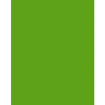 Image of A4 Coloured Paper 50 Sheet Pack Colour (Intense Green)