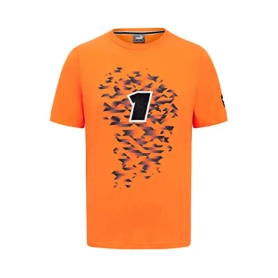 Image of 2022 RED BULL RACING FANWEAR Mens SE 1 VERSTAPPEN TSHIRT Orange (XXL) Chest 112 120cm