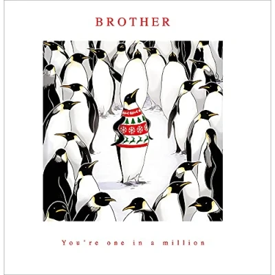 Image of Brother One in a Million Christmas Card Funny Xmas Jumper Penguin