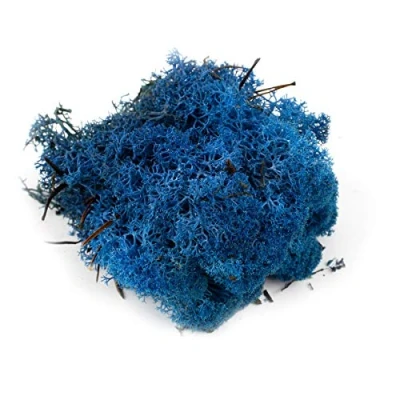 Image of War World Scenics Lichen Blue Moss Model Foliage 100g Railway Wargame Scenery Landscape Modelling Trees Bushes Hedges Diorama Basing Material
