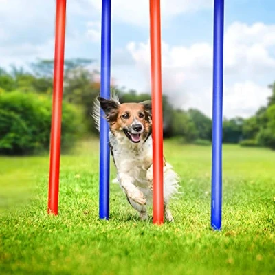 Image of URBNLIVING Dog Obstacle Training Pole Portable Equipment Set Kit Agility Weave Poles (Slalom Set)