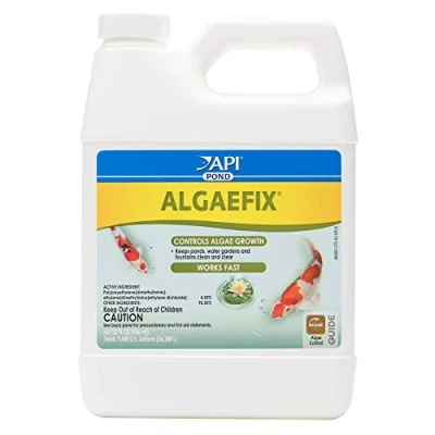 Image of Mars Fishcare North America API Pond Algaefix 32 fl. OZ (946mL)