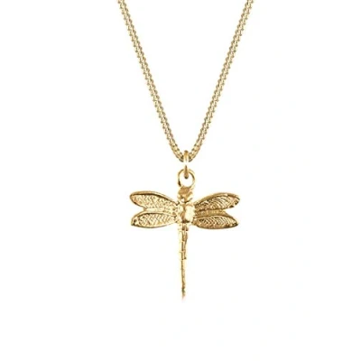 Image of Elli Necklace Ladies Curb Dragonfly Pendant Filigree in 925 Sterling Silver