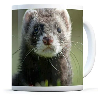 Image of Cheeky Ferret Drinks Mug Cup Kitchen Birthday Office Fun #14219