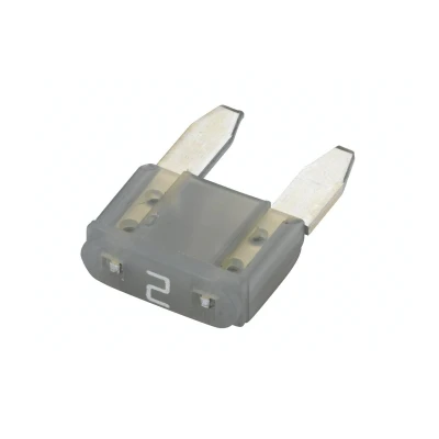 Image of 60205682 Fuse HELLA 8JS 728 596 861 2A grey 32V