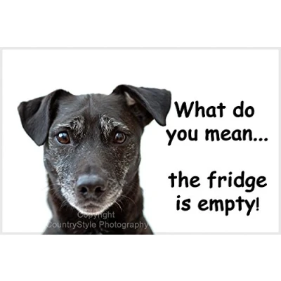 Image of Patterdale Terrier Dog Funny Fridge Magnet Perfect Birthday or Christmas Gift