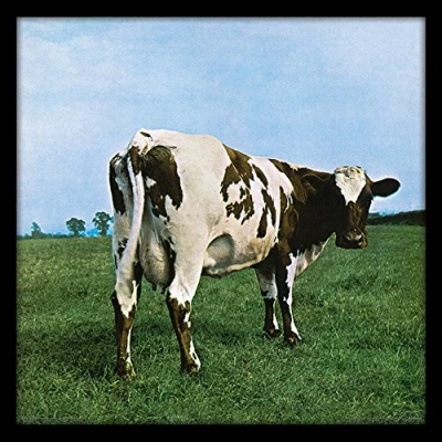 Image of Pink Floyd Atom Heart Mother 12&quot; Album Cover Framed Print, MDF, Multi Colour, 32 x 1.5 cm