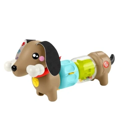 Image of Fisher Price Baby Sensory Toy FP Pets Click &amp; Spin Activity Pup with Fine Motor Activities for Infants Ages 6+ Months, HTW91
